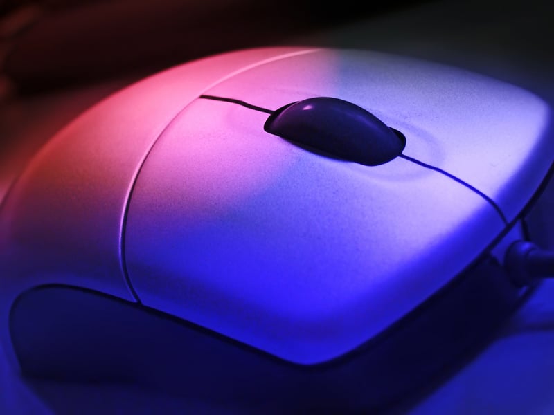 mouse